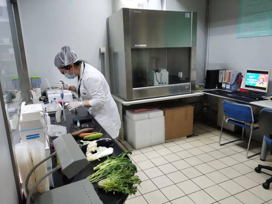 泰和食品检测实验室装修方案